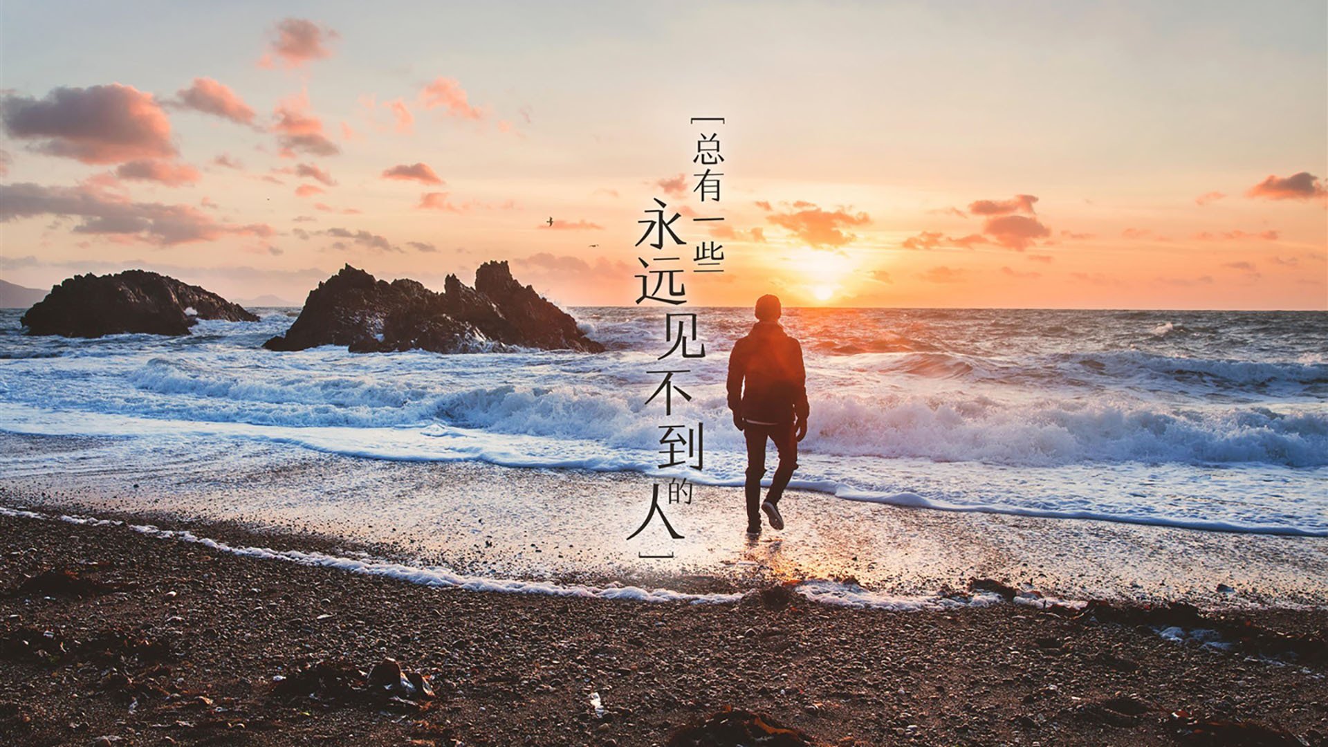 爱游戏娱乐-马术赛事场地标准国际化提升，标准马术场地大小